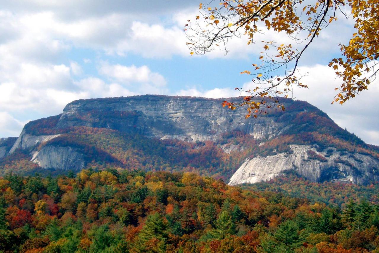 Heavenly Bearadise Cabin In Cashiers, Nc! Εξωτερικό φωτογραφία