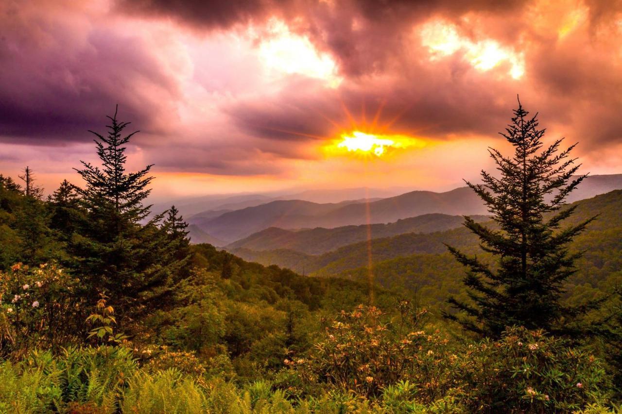 Heavenly Bearadise Cabin In Cashiers, Nc! Εξωτερικό φωτογραφία